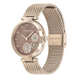Coach Park Brown Women's Watch 14503566