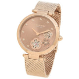 Coach Park Brown Women's Watch 14503566