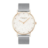 COACH PERRY 14503629 WOMEN'S WATCH