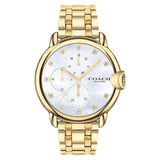 COACH ARDEN 14503681 GOLD STAINLESS STEEL WOMEN'S WATCH