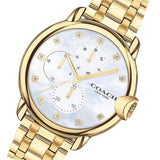 COACH ARDEN 14503681 GOLD STAINLESS STEEL WOMEN'S WATCH