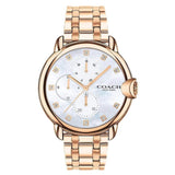 COACH ARDEN 14503682 STAINLESS STEEL WOMEN'S WATCH
