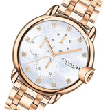 COACH ARDEN 14503682 STAINLESS STEEL WOMEN'S WATCH