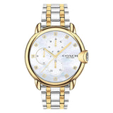 COACH 14503683 ARDEN WHITE MOTHER OF PEARL  STAINLESS STEEL WOMEN'S WATCH