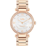 COACH 14503831 STAINLESS STEEL WOMEN'S WATCH