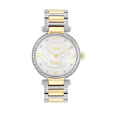 COACH 14503833 TWO-TONE STAINLESS STEEL WOMEN'S WATCH