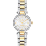 COACH CARY 14503840 TWO-TONE STAINLESS STEEL STRAP WOMEN WATCH