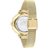TOMMY HILFIGER PROJECT Z 1782164 WOMEN'S WATCH