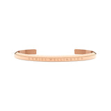 DANIEL WELLINGTON CLASSIC ROSE GOLD BRACELET