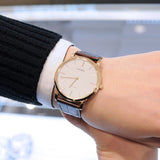 CITIZEN ECO-DRIVE AR1113-12A WHITE DIAL BROWN LEATHER STRAP MEN'S WATCH