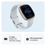 Fitbit Sense 2 Blue Mist/Pale Gold FB521GLBM-FRCJK