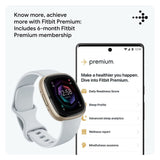 Fitbit Sense 2 Blue Mist/Pale Gold FB521GLBM-FRCJK