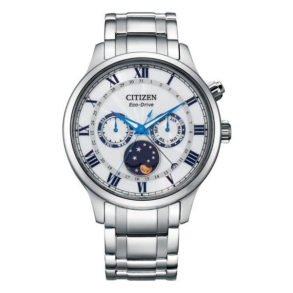 Citizen Eco-drive Stainless Steel Men's Watch AP1050-81A