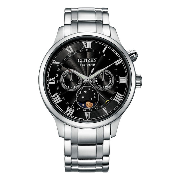 Citizen Eco-drive Stainless Steel Men's Watch AP1050-81E