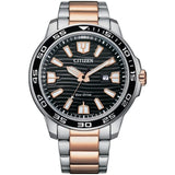Citizen Eco-drive Solar Two-tone Stainless Steel Men's Watch AW1524-84E