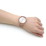 Armani Exchange Silver Dial Rose Gold Milanese Strap Women Watch AX5573