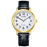 CITIZEN BJ6543-10A COLLECTION ECO-DRIVE SOLAR STAINLESS STEEL MEN'S WATCH