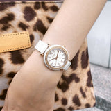 FOSSIL CARLIE MINI CE1104 WOMEN'S WATCH