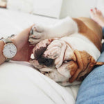 CLUSE LA BOHEME QUARTZ ROSE GOLD STAINLESS STEEL CL18021 GREEN LEATHER STRAP LADIES WATCH - H2 Hub Watches