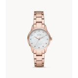 ELLE MOLITOR ELL25002 WOMEN'S WATCH