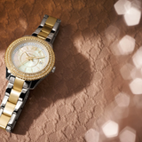 Fossil ES5138 Two-Tone Stainless Steel Ladies Watch
