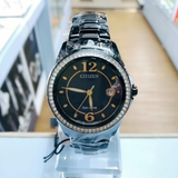 Citizen Eco-Drive Black Stainless Steel Women Watch FE1255-84L