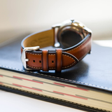 FOSSIL NEUTRA FS5903 BROWN  LEATHER MEN WATCH