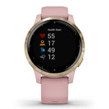 GARMIN VIVOACTIVE 4S DUST ROSE GM-010-02172-39 SMARTWATCH - H2 Hub Watches