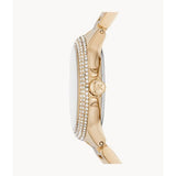 Michael Kors Gold Stain Steel Women Watch MK6844
