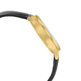 Casio General Black Dial And Leather Strap Men Watch MTP-VD03GL-1AUDF-P