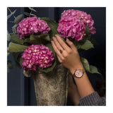 SARA MILLER LONDON LEAF ROSE GOLD WOMEN'S WATCH SA4022