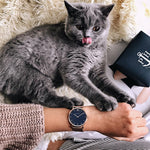 PAUL HEWITT SAILOR PH-SA-G-ST-B-4M WOMEN'S WATCH - H2 Hub Watches